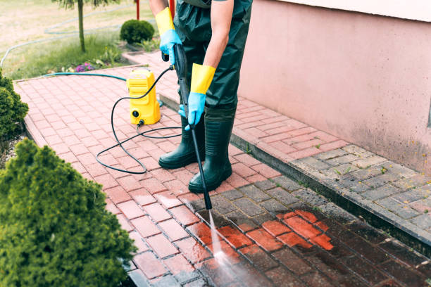 Best Sidewalk Pressure Washing  in Oak Grove, TN