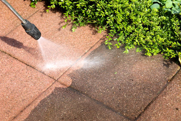 Best Affordable Power Washing  in Oak Grove, TN